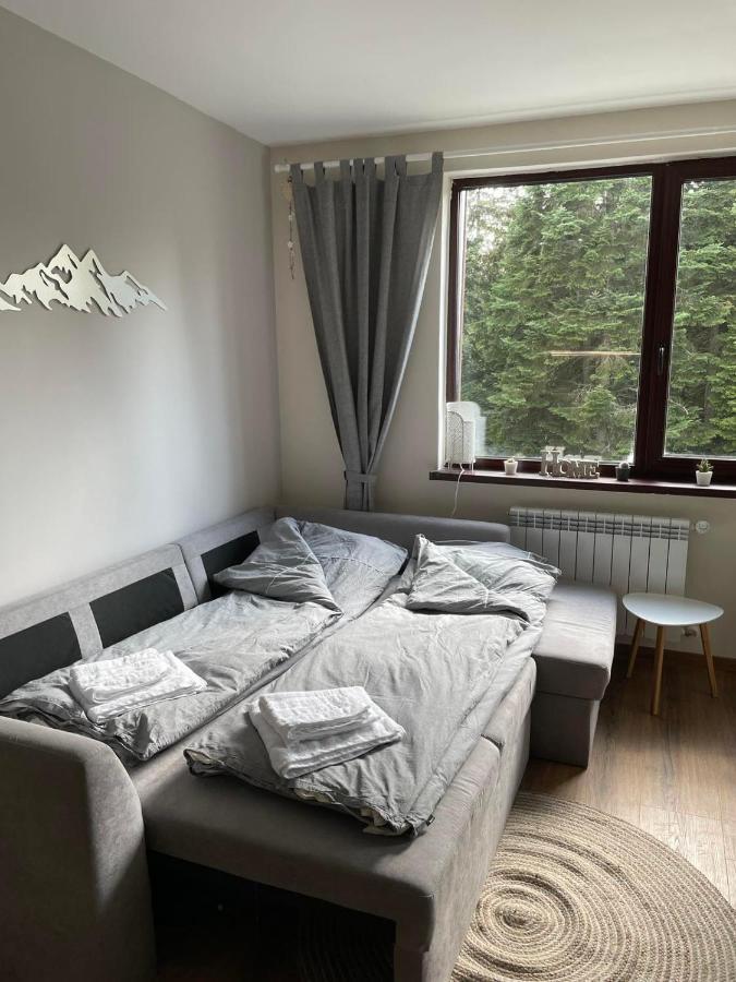 Pine Tree Apartment / Borovets Gardens Zewnętrze zdjęcie