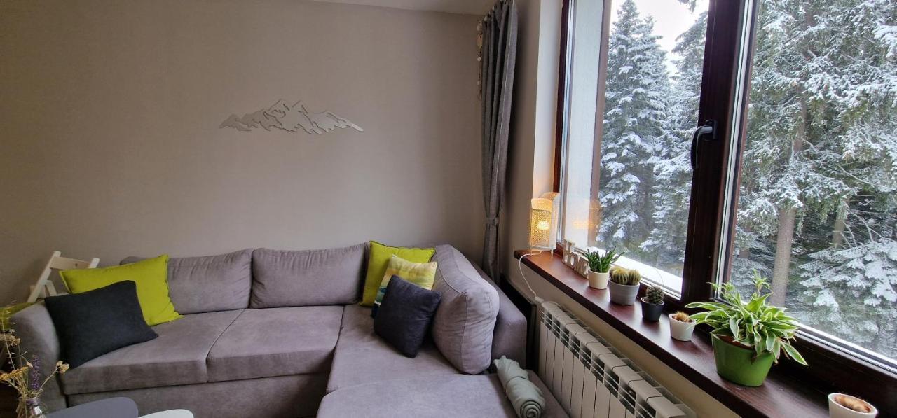 Pine Tree Apartment / Borovets Gardens Zewnętrze zdjęcie